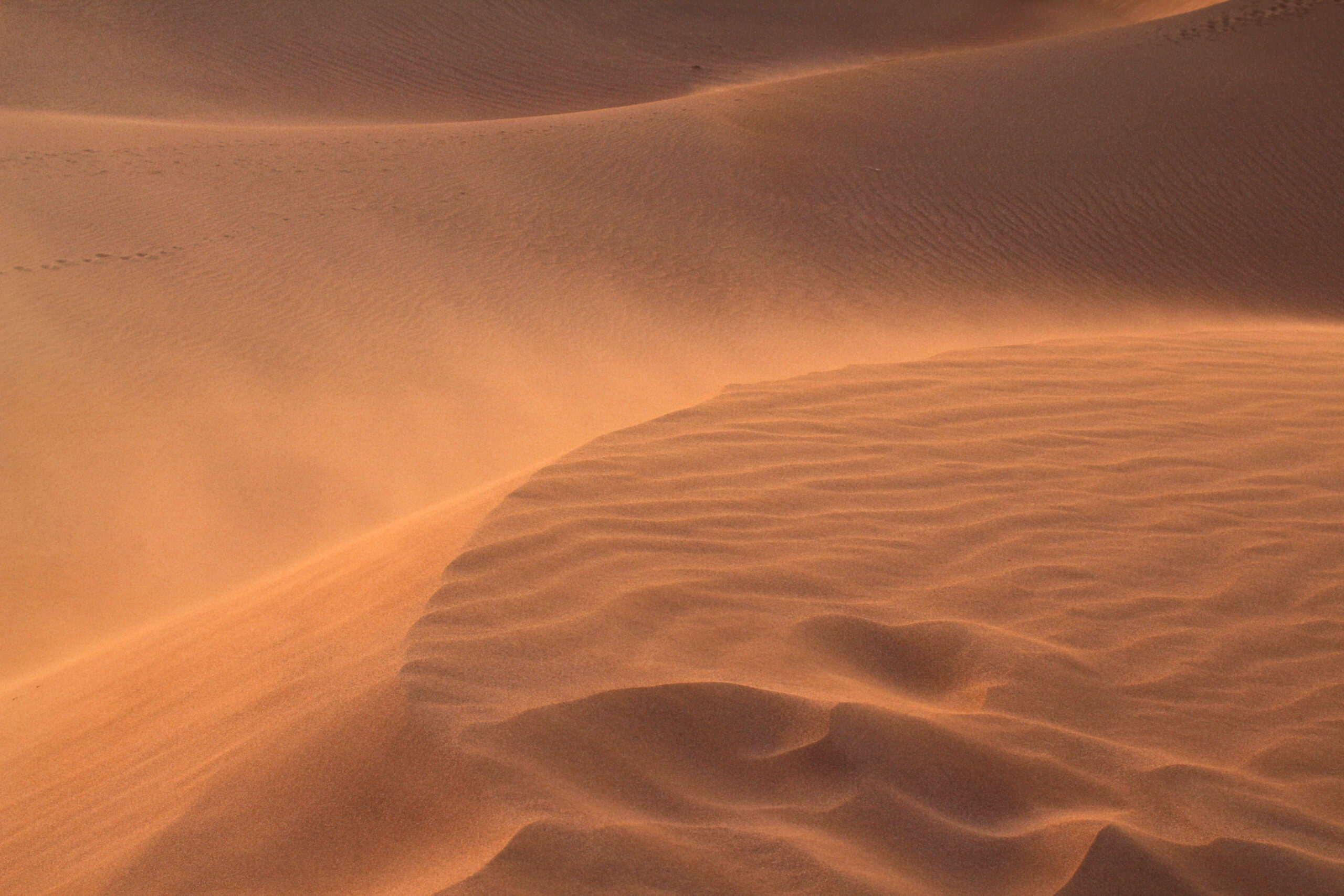 Treck in Sahara